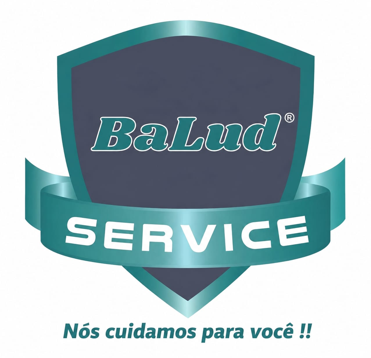BaLud Service